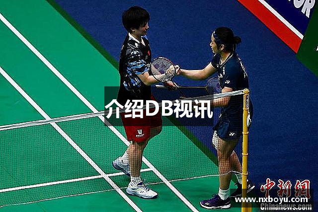 介绍DB视讯